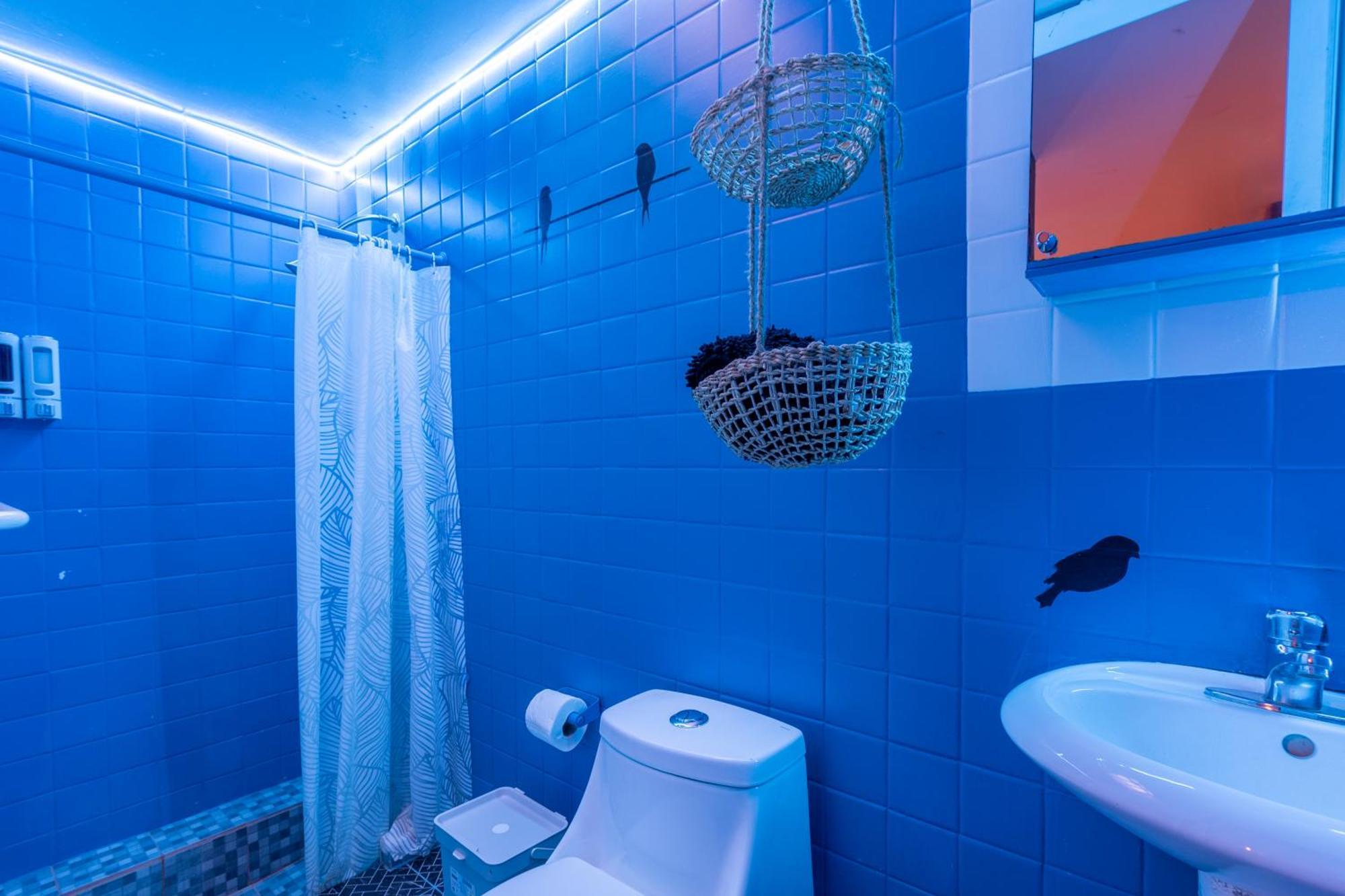 Guest house Bugambilia