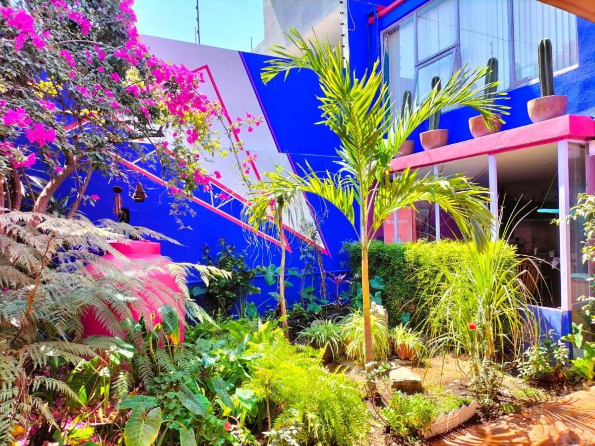 Casa de hóspedes Bugambilia
