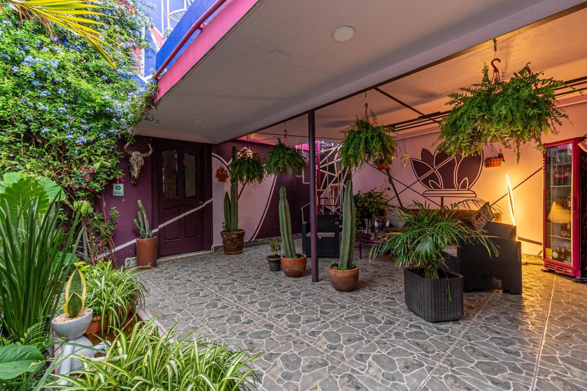Bugambilia Casa de hóspedes Cidade do México